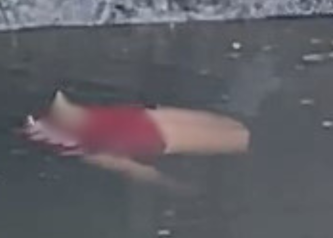 Corpo é encontrado em igarapé no bairro Nossa Senhora das Graças, em Manaus