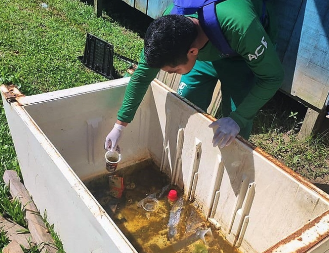 Amazonas Confirma 344 Casos de Dengue e 5 de Chikungunya